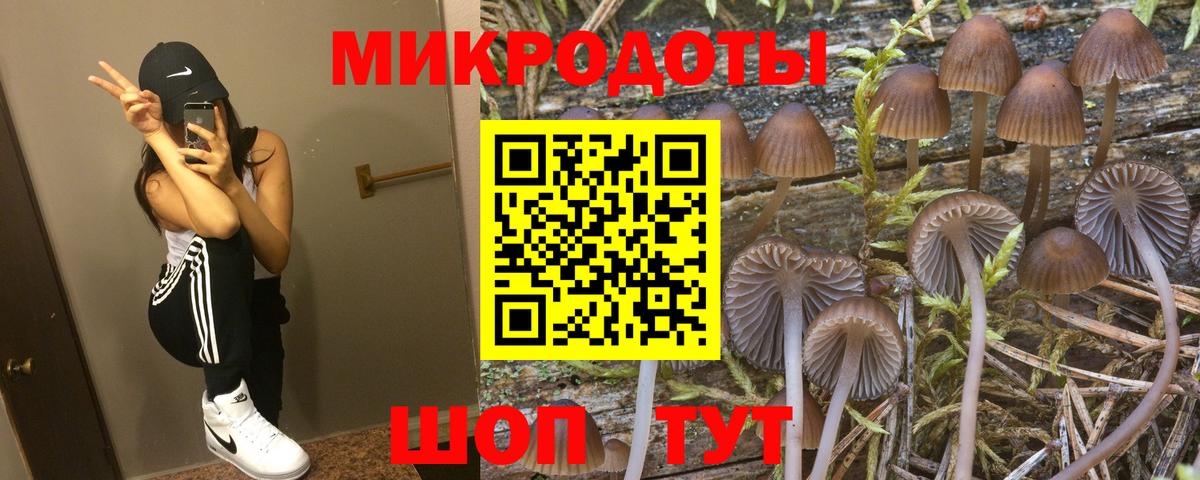 Сосновоборск  цены наркотик  Вход с VPN  Галлюциногенные грибы GOLDEN TEACHER 